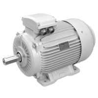 elektromotor 30kw 1LC250M-8 B3